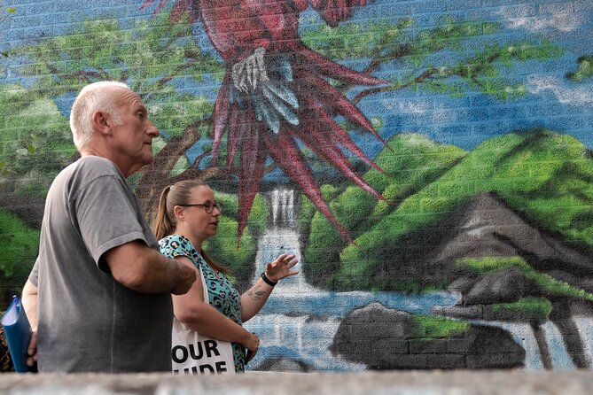 1,5 hour private guided Mural Street Art tour in Arnhem - Timing, weather, and meeting details