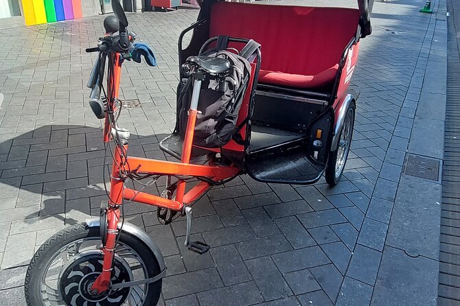 1 Hour Private Amsterdam Rickshaw Tour - Starting at Dam Square