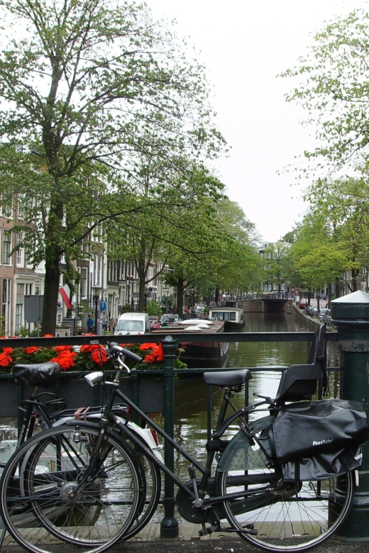 2.5-Hour Amsterdam Sightseeing Tour by Bike - Timing, meeting points, and what to bring
