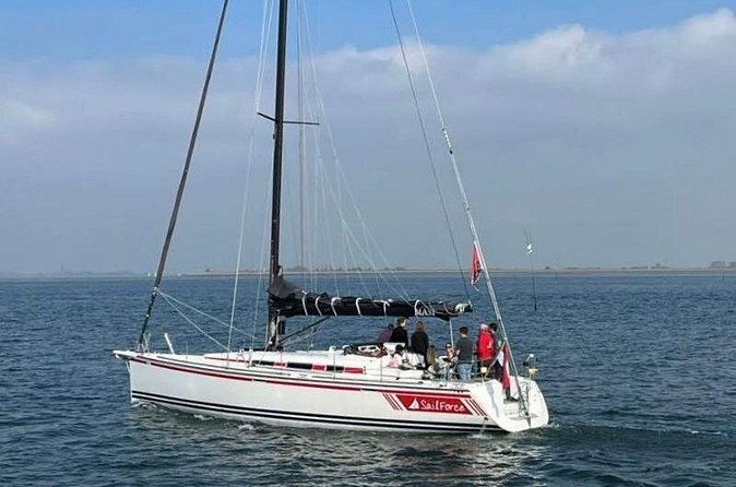 3 hour boarding ticket Summer sailing from Wemeldinge (Zeeland) - Seals, porpoises, and open-water watching