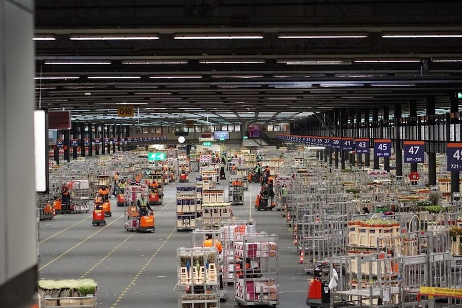 Aalsmeer: Flower Auction Royal Flora Holland Entry Ticket - What the $14 ticket gives you