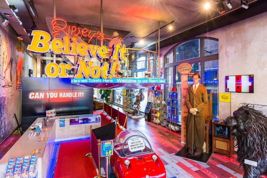 Amsterdam 1-Hour Canal Cruise and Ripley’s Believe it or Not - The glass-topped canal cruise