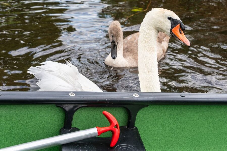 Amsterdam: 2-Hour Guided Canoe Trip - Should you book the canoe trip from Amsterdam?