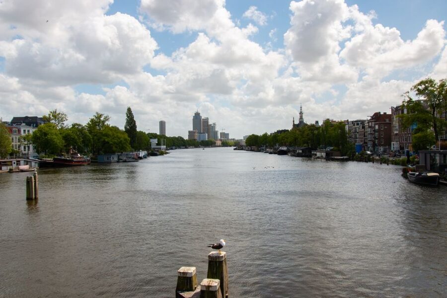 Amsterdam: 3 Course Dinner in the Dark - Timing, comfort, and the price