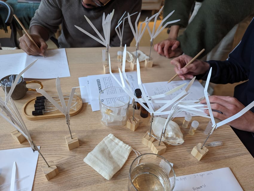 Amsterdam: 3-Hour Mindful Perfume-Making Workshop - What the $165 price gets you