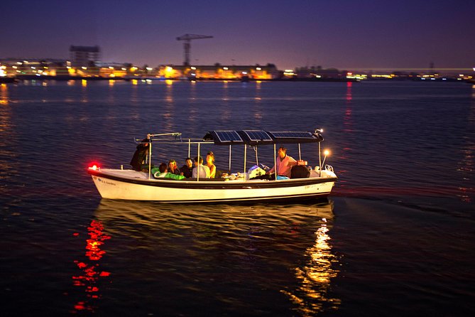 Amsterdam 90-min Private Canal Cruise with Live Guide and Drinks - The Amstel and the city’s changing face
