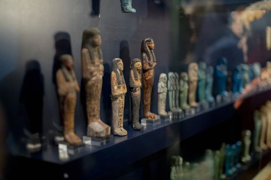 Amsterdam: Allard Pierson Heritage Collections Entry Ticket - Church history, zoology, and the wider collections