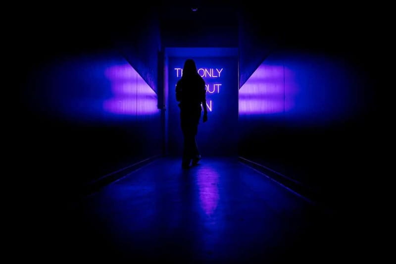 Amsterdam: AMAZE Immersive Audiovisual Experience Ticket - Who will enjoy AMAZE most?