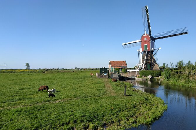 Amsterdam and Countryside Private Full-Day Tour by luxury car - Monnickendam and the organic farm