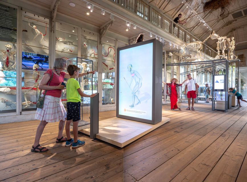 Amsterdam: ARTIS-Groote Museum Entry Ticket - Why the audio tours and interactive machines matter