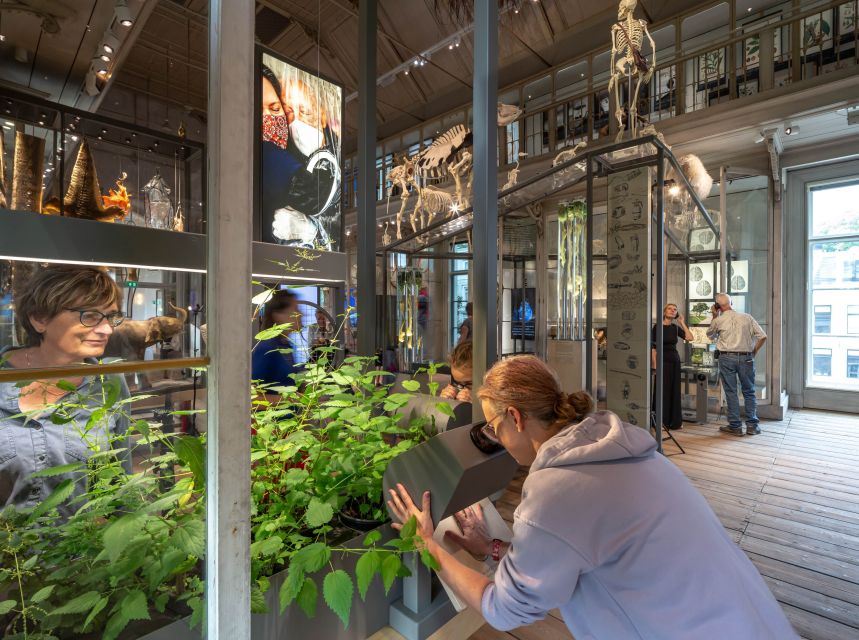 Amsterdam: ARTIS-Groote Museum Entry Ticket - Booking flexibility and practical details