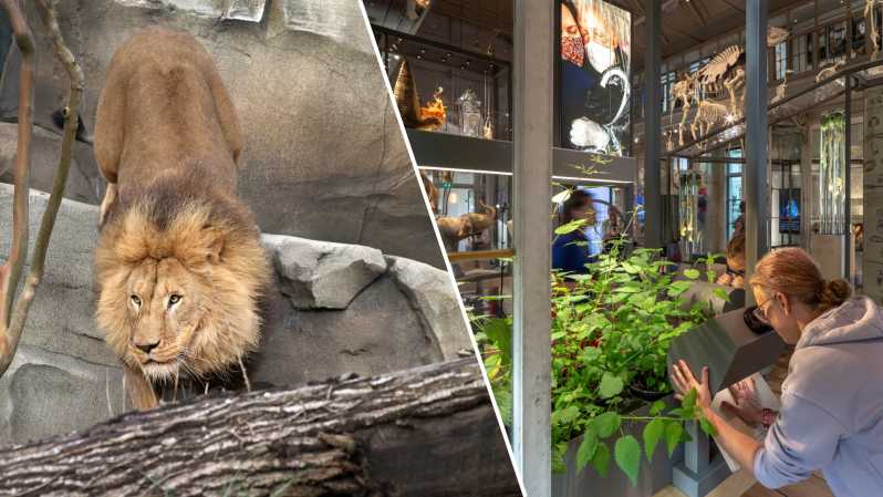 Amsterdam: ARTIS Royal Zoo and ARTIS Groote Museum Ticket - Elephants and the Elephant Expedition