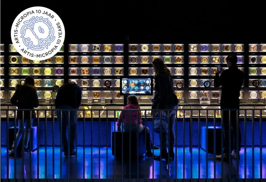 Amsterdam: Artis Royal Zoo & ARTIS-Micropia Combo Ticket - Key points to know before you go