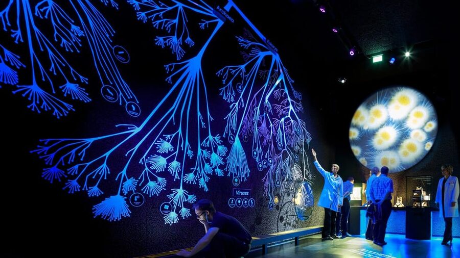 Amsterdam: Artis Royal Zoo & ARTIS-Micropia Combo Ticket - From Madagascar to Asian otters