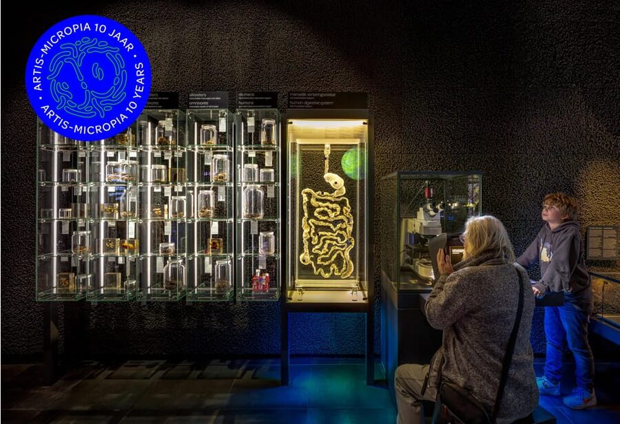 Amsterdam: Artis Royal Zoo & ARTIS-Micropia Combo Ticket - More than a large-animal zoo