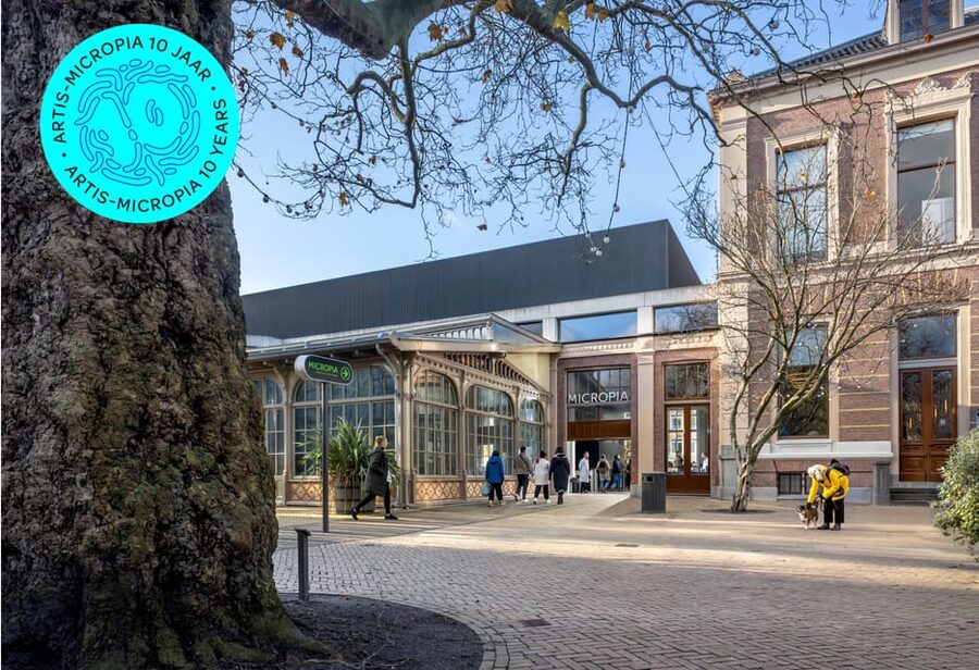 Amsterdam: Artis Royal Zoo & ARTIS-Micropia Combo Ticket - The Planetarium adds a change of scene