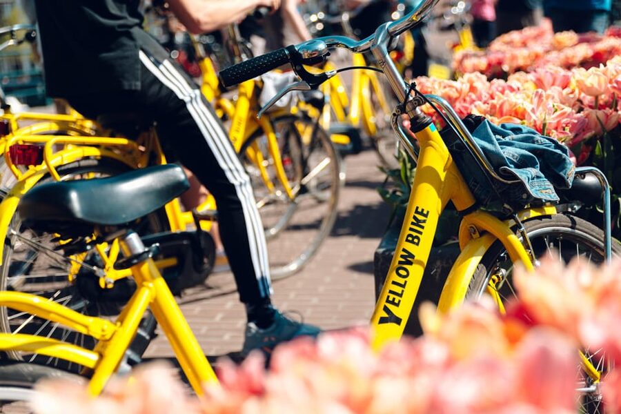 Amsterdam Bike Rental: Central Station & City Center - Key points before you rent