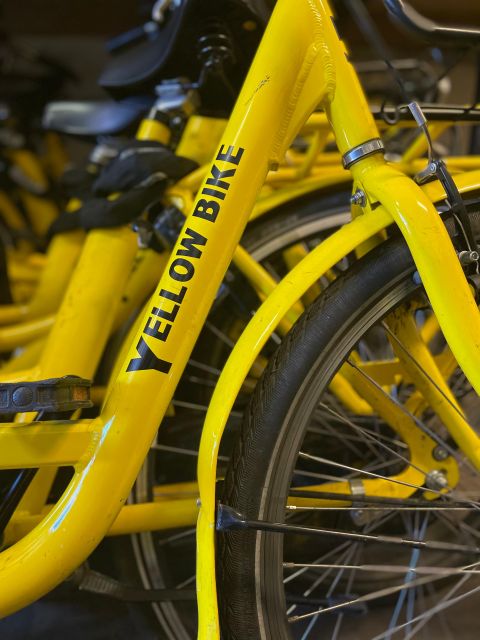 Amsterdam Bike Rental: Central Station & City Center - What the $10 price really covers