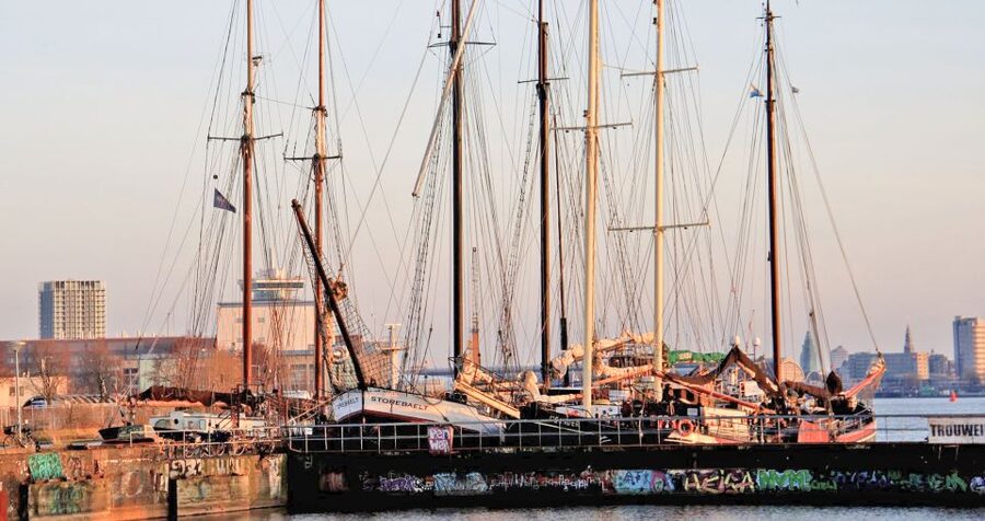 Amsterdam: Bike Tour (Noord) in German or English - Key points at a glance