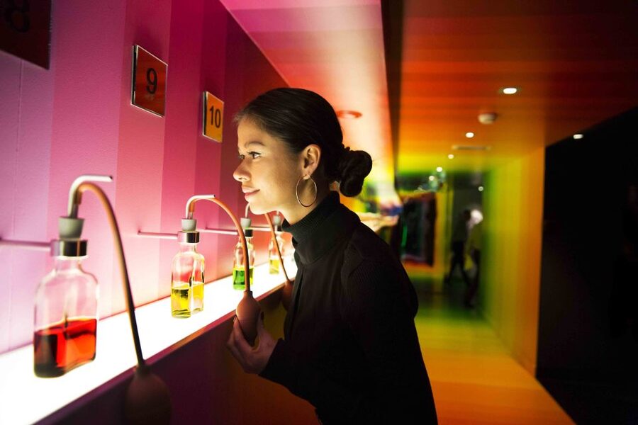 Amsterdam: Bols Cocktail Experience and Cocktail Workshop - Who should book the Bols Cocktail Experience?