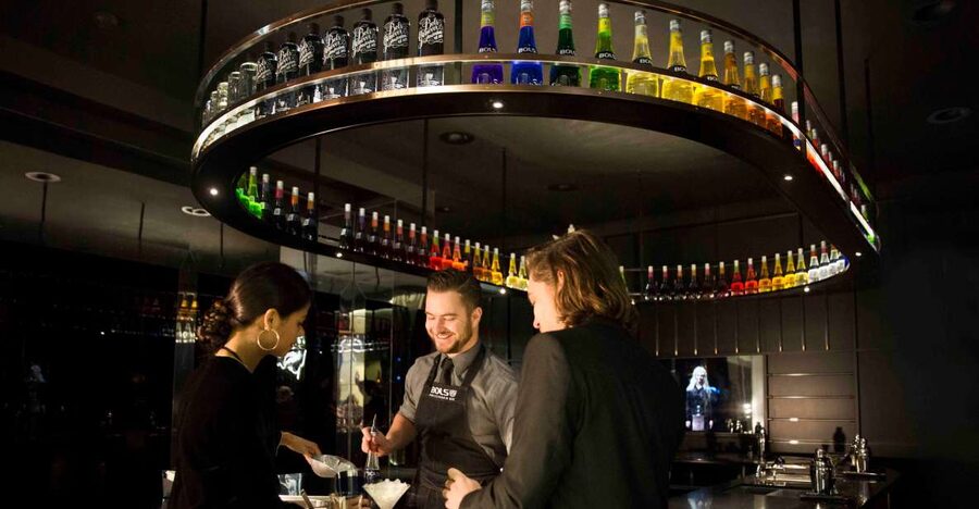 Amsterdam: Bols Cocktail Experience and Cocktail Workshop - Learning to make two or three cocktails