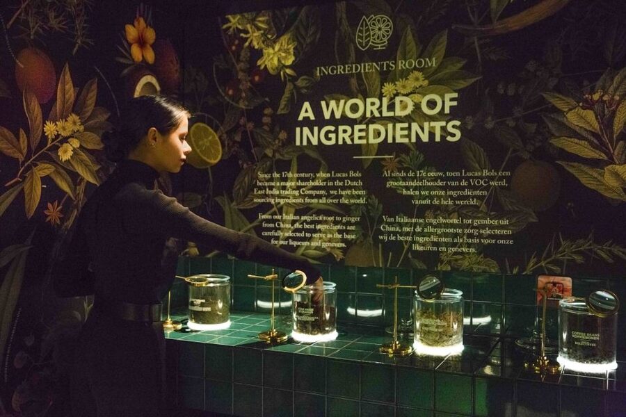 Amsterdam: Bols Cocktail Experience and Cocktail Workshop - How much drink do you actually get?