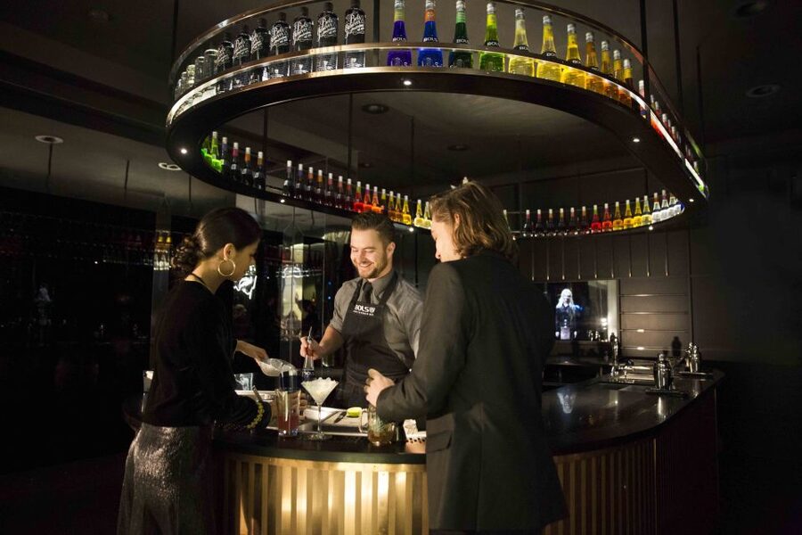 Amsterdam: Bols Cocktail Experience and Cocktail Workshop - The social side of the workshop