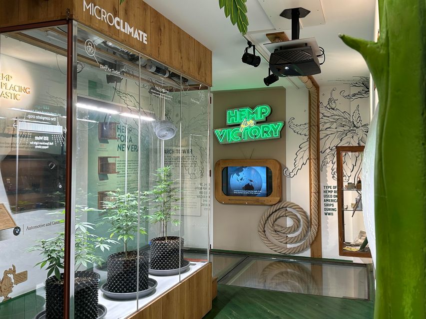 Amsterdam: Cannabis Museum Entry Ticket - A compact museum with a bigger subject
