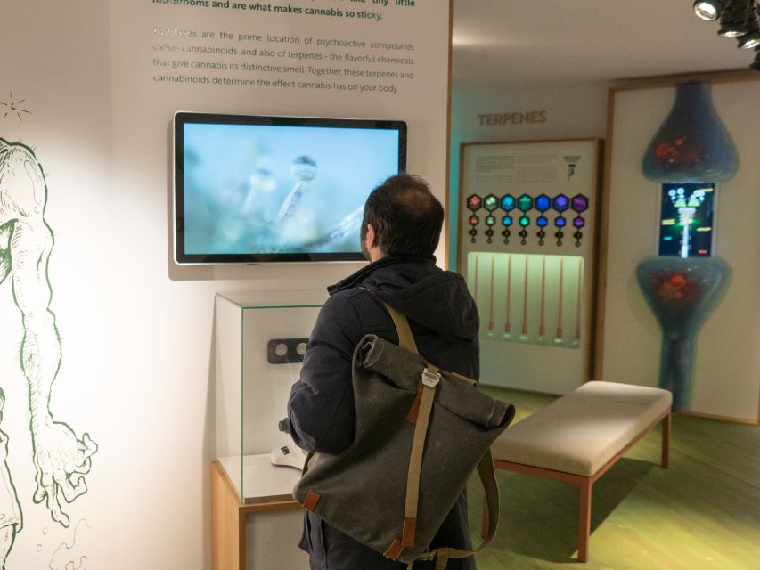 Amsterdam: Cannabis Museum Entry Ticket - What you see on the first floors