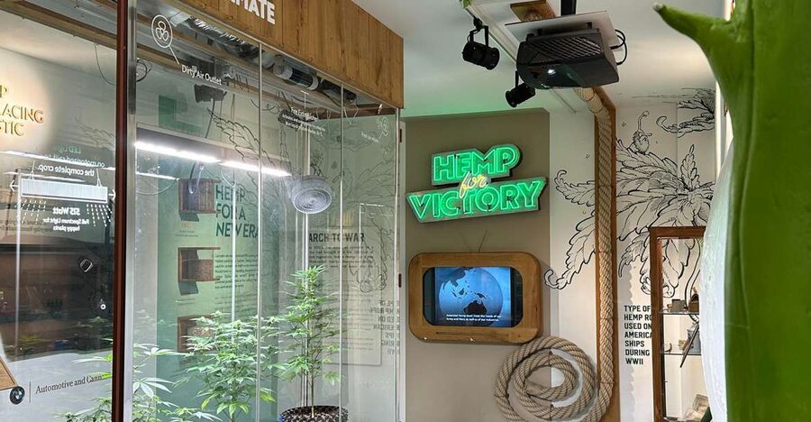 Amsterdam: Cannabis Museum Entry Ticket - The audio tour and learning at your own pace