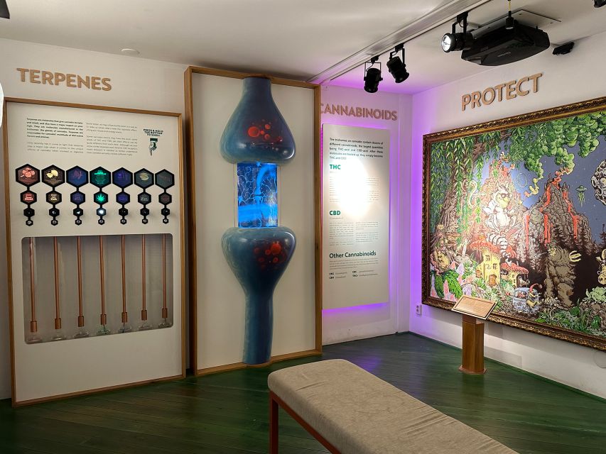 Amsterdam: Cannabis Museum Entry Ticket - Who should book the Cannabis Museum