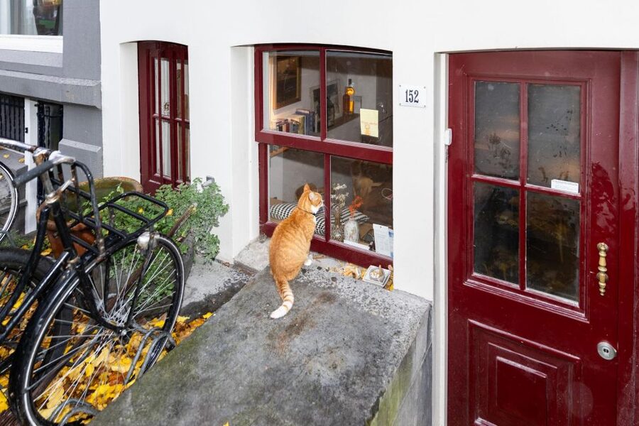 Amsterdam Central Walking Tour - The Red Light District with clear ground rules