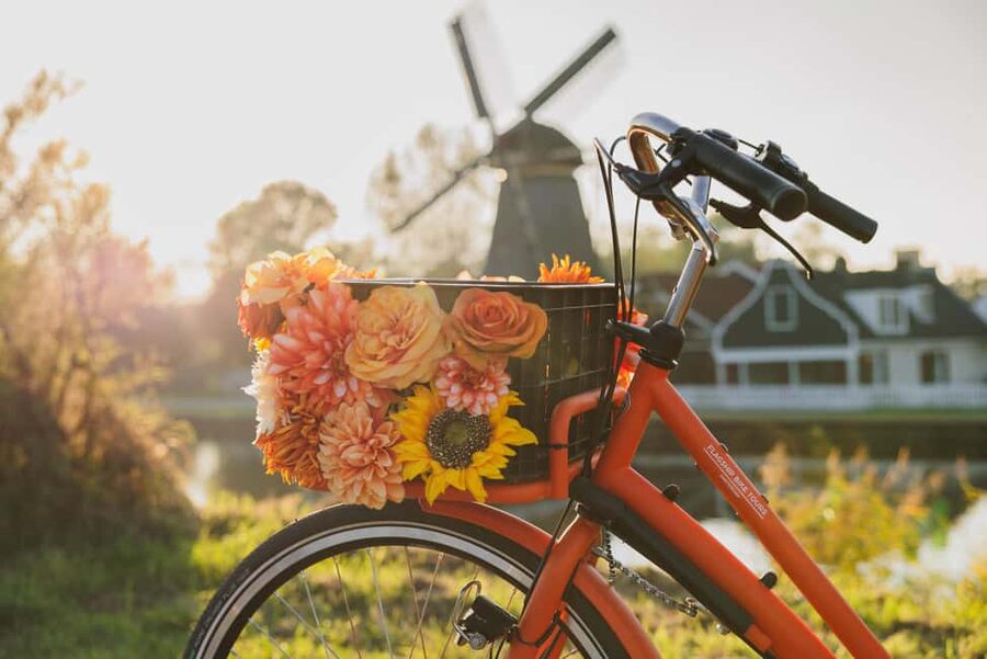 Amsterdam: Cheese, Windmill & Countryside Bike Tour - Should You Book the North Holland Countryside Tour?