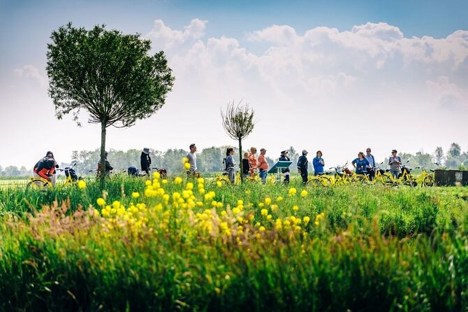 Amsterdam Countryside and Villages Bike Tour - Why North Amsterdam makes a fine morning ride