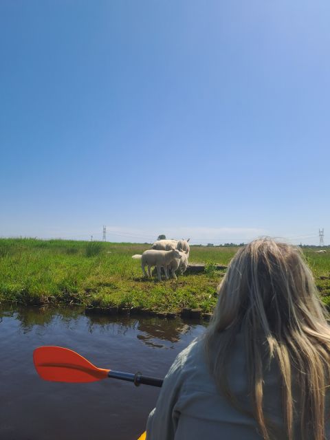 Amsterdam: Countryside Bike and Kayak Guided Tour - From A’DAM Lookout to the Open Country
