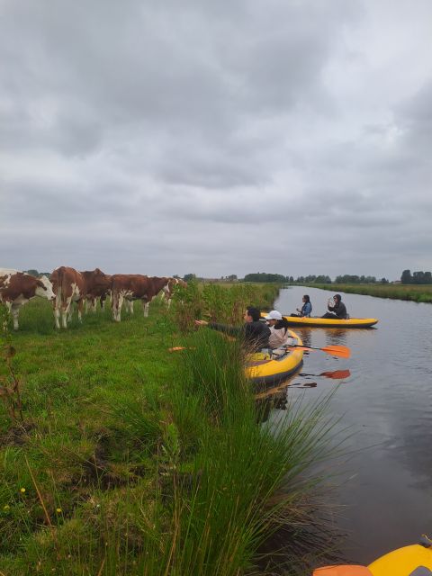 Amsterdam: Countryside Bike and Kayak Guided Tour - D’Admiraal Windmill and a View of Old Amsterdam