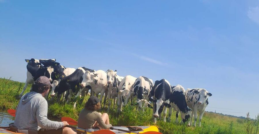 Amsterdam: Countryside Bike and Kayak Guided Tour - A Break in a Village Church