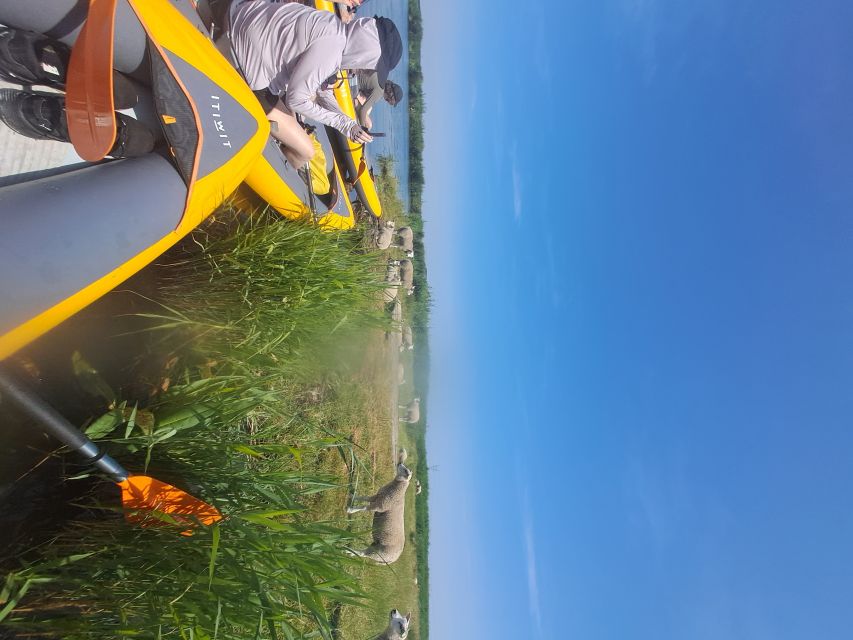 Amsterdam: Countryside Bike and Kayak Guided Tour - Who Will Enjoy This Tour Most