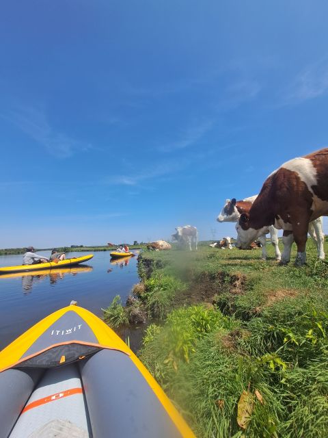 Amsterdam: Countryside Bike and Kayak Guided Tour - Practical Details Before You Book