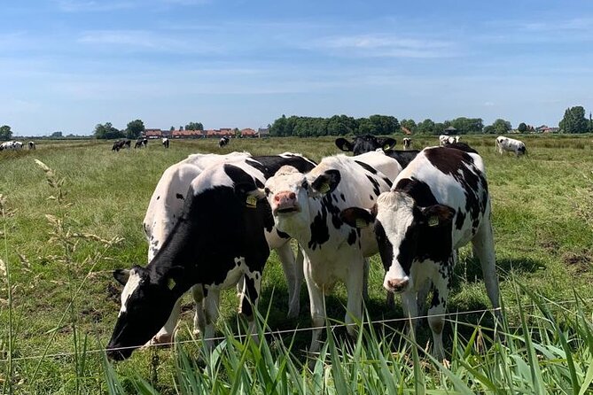 Amsterdam Countryside Bike and Kayak Tour - Paddling Through the Wetlands