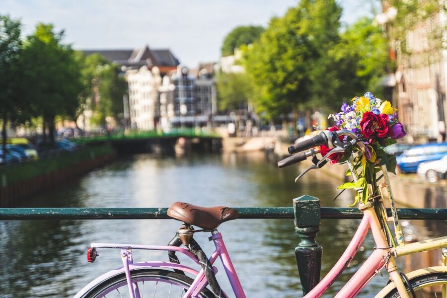 Amsterdam: Countryside Bike Tour - Language, group size, and guide style
