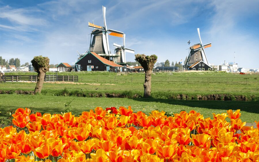 Amsterdam: Day Tour Keukenhof and Zaanse Schans Windmills - Key points to know before you book