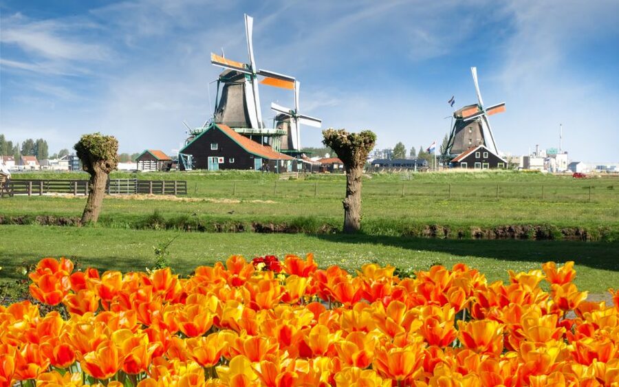 Amsterdam: Day Tour Keukenhof and Zaanse Schans Windmills - Should you book this Keukenhof and Zaanse Schans tour?