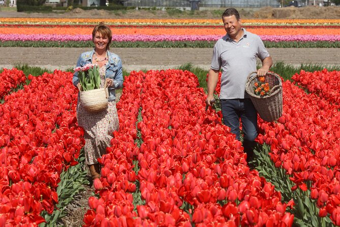 Amsterdam: Day trip to Tulip Farm, Keukenhof + Windmill Cruise - De Tulperij and the Jansze family farm