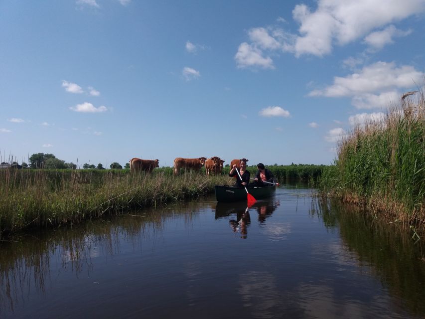 Amsterdam: Dutch Countryside Sunset Canoe Tour - Who will enjoy this evening most