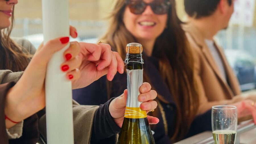 Amsterdam: Dutch Prosecco Party Bike - Sixty-five minutes of pedaling, music, and bubbly