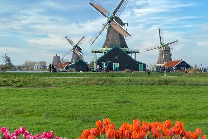 Amsterdam: Experience Edam, a Cheese Tasting, and a Windmill - What the six-hour schedule feels like
