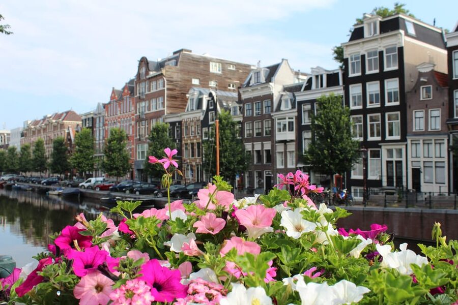 Amsterdam: Explore Pass with Over 35 Attractions - The 24-hour bus ticket and getting your bearings