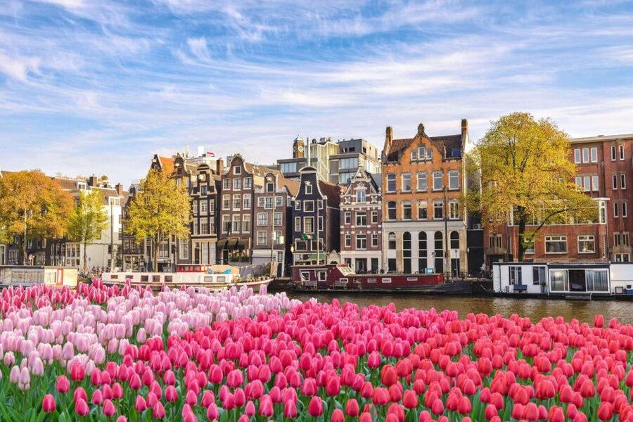 Amsterdam Family Friendly Historical Walking Tour - What $235 per person buys you