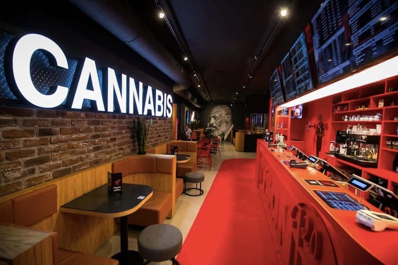 Amsterdam: Guided Ganja Walking Tour of Coffee Shops - Key points at a glance